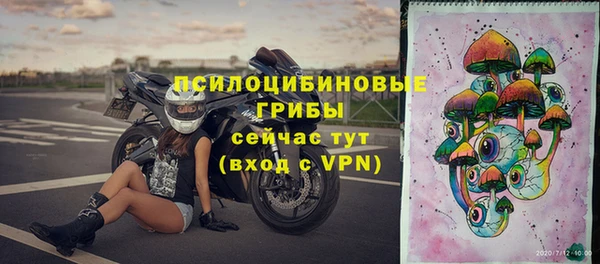 круглые Алексеевка