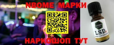 гидра Новозыбков