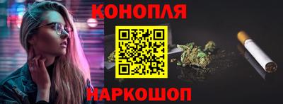 гидра Новозыбков