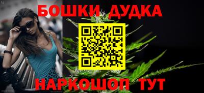 гидра Новозыбков