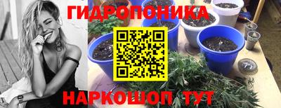 метадон Новодвинск