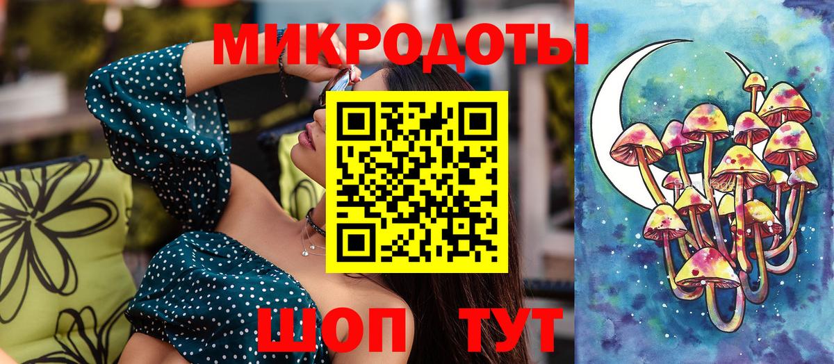Псилоцибиновые грибы мицелий Южно-Сахалинск